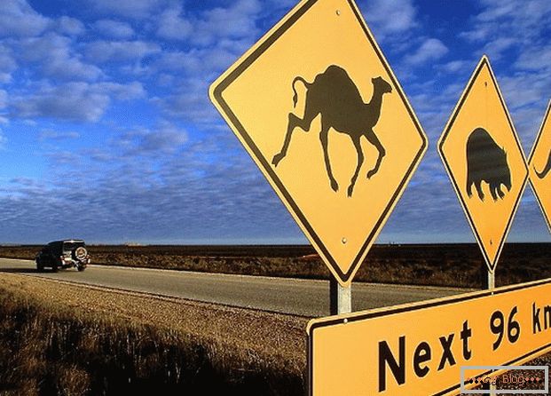 Australské dopravní značení varuje, že na silnici mohou běžet různá zvířata.