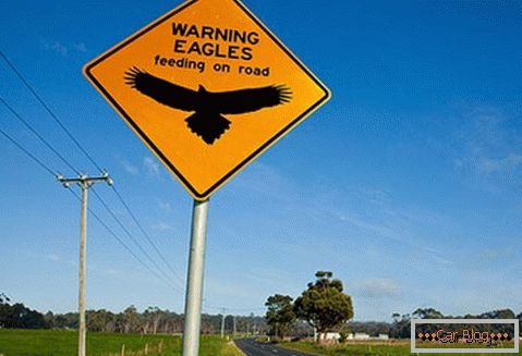 Upozornění na možnost setkat se s orly na silnici